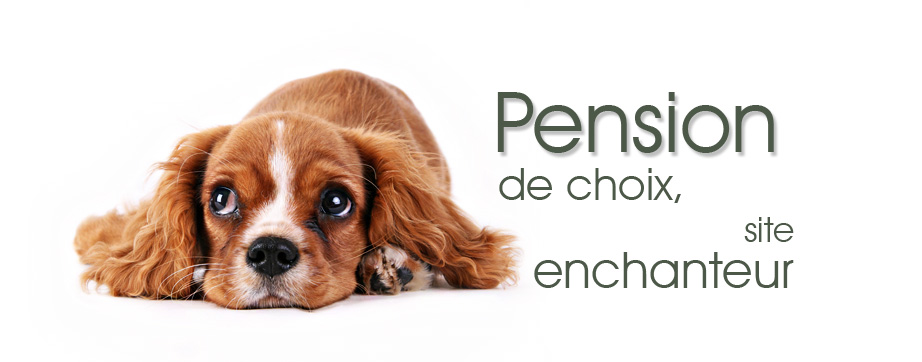 Perspiciatis unde laud